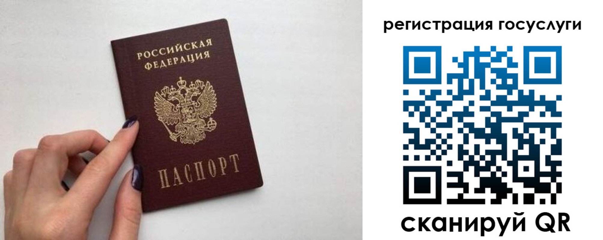 временная регистрация гарантия в Заринске